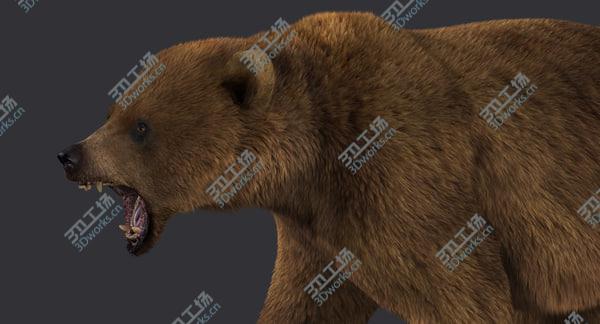 images/goods_img/20210312/Bear (2) (LightBrown) (Rig) (Fur)/4.jpg